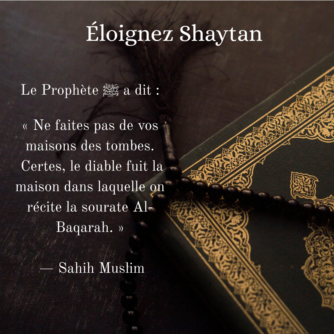 Aimant Audio Coran - AKIAN